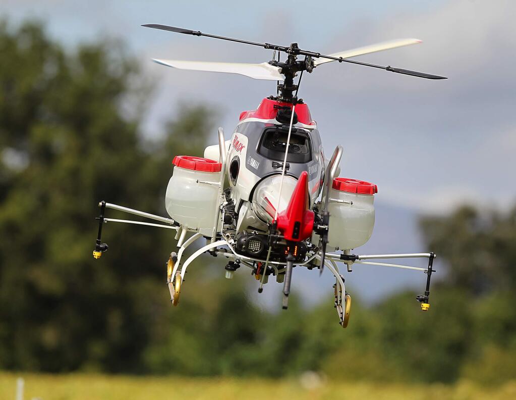 Researchers at the U.C. Davis Oakville Station are studying whether drones would be economically effective applying fertilizers or pesticides to vineyards. A Yamaha RMAX helicopter was fitted with sprayers containing water for a demonstration on Wednesday. (JOHN BURGESS/ PD)