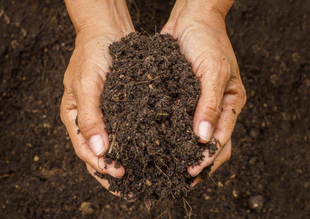Learn how to care for your soil.