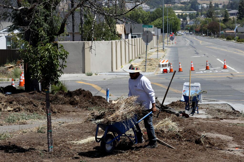 Juan Barron of PJM Landscape and Tree Care works to redo the landscaping at the corner of Coffey Lane and Hopper Avenue in Santa Rosa on Wednesday, Aug. 7, 2019. (BETH SCHLANKER/ The Press Democrat)