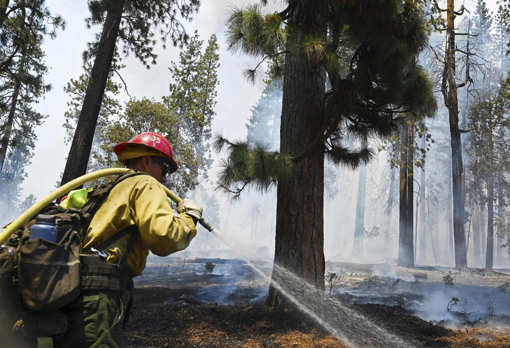 An inter-agency effort of firefighters put out fire in the forest along the northern perimeter of the Washburn Fire, in Yosemite National Park, Monday, July 11, 2022. (Eric Paul Zamora/The Fresno Bee via AP)