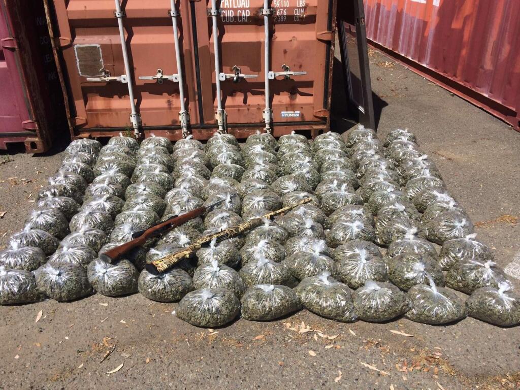 Authorities arrested six people in a Clearlake Oaks marijuana sweep that turned up more than 45,000 plants, almost 200 pounds of processed marijuana and two guns, according to Lake County sheriff's officials. (COURTESY OF LAKE COUNTY SHERIFF'S DEPARTMENT)