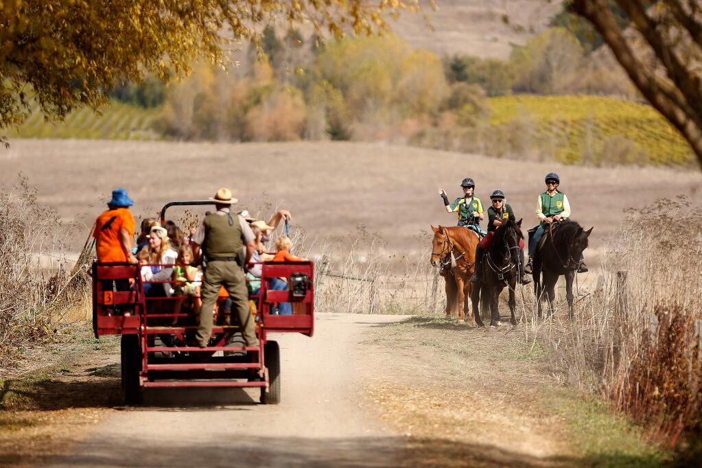 Regional Parks Mounted Assistance Unit members Susan Patterson, left, Amanda Prestley-Belka, and Nancy Chien-Eriksen standby with their horses Sienna, Amigo, and Magic as a hayride passes, during the Tolay Fall Festival at Tolay Lake Regional Park, in Petaluma, California on Saturday, October 22, 2016. (Alvin Jornada / The Press Democrat)