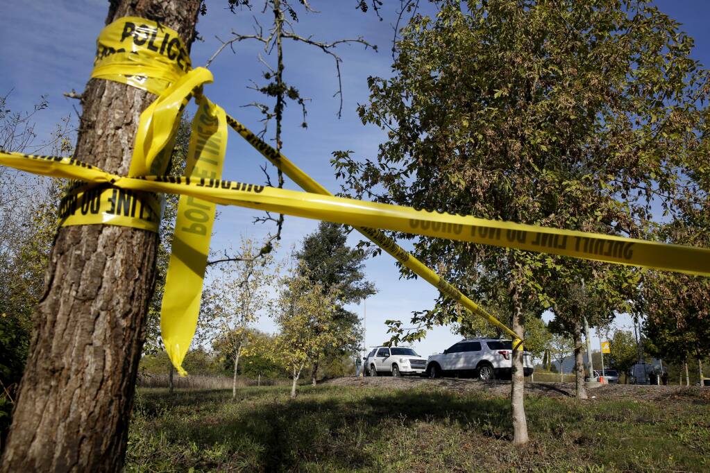 Members of the Sonoma County Sheriff's detectives work at the scene where a partially buried body was found in a wooded area near the Nparking lot on the Sonoma State University campus in Rohnert Park , on Thursday, November 3, 2016. (BETH SCHLANKER/ The Press Democrat)