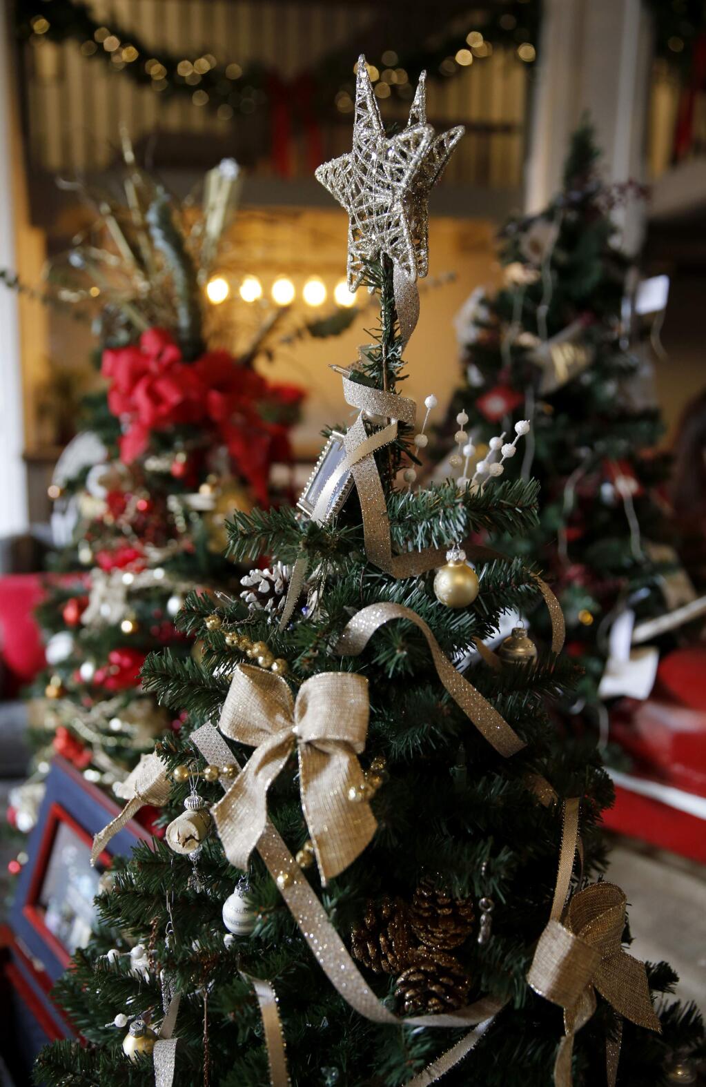 Decorated Christmas trees will be auctioned off for charity during the annual Festival of Trees event organized by the nonprofit Fabulous Women of Sonoma County. Photo taken in the lobby of Hotel Petaluma in Petaluma, on Wednesday, November 22, 2017. (BETH SCHLANKER/ The Press Democrat)