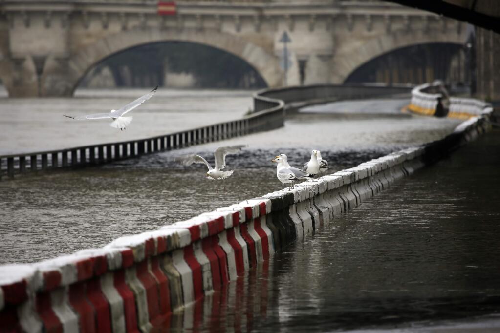 Birds fly over a flooded highway along the river Seine in Paris, Wednesday, June 1, 2016. The Seine River has overflowed embankments in Paris as floods hit or threaten cities and towns around France.(AP Photo/Jerome Delay)