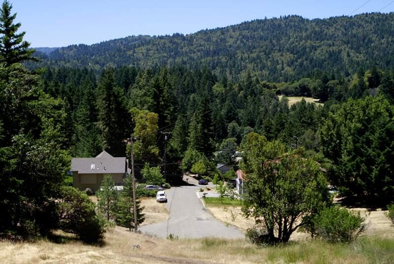 Houses sit on Hulett Place amongst a number of empty lots in the Brooktrails Township north of Willits, on Wednesday, June 20, 2012. (BETH SCHLANKER/ The Press Democrat)