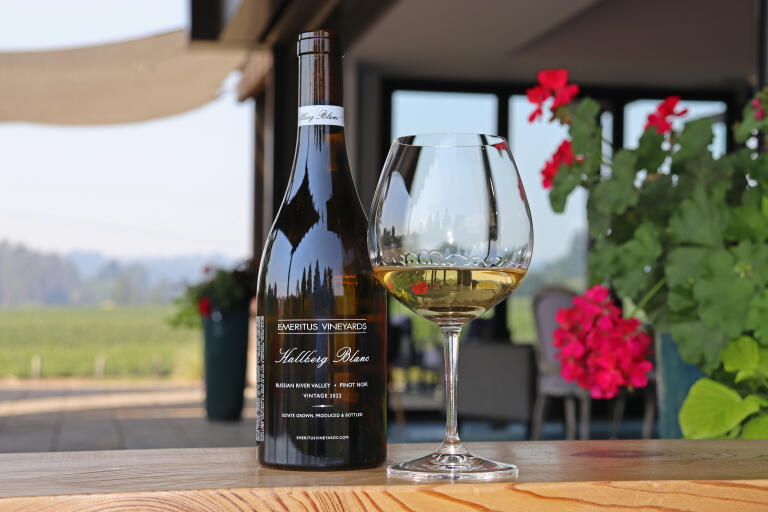 White pinot noir is rare, but its interest is definitely budding, especially among select winemakers in Sonoma and Mendocino counties, like Emeritus Vineyards. Credit: Leslie Roberts/Emeritus Vineyards.