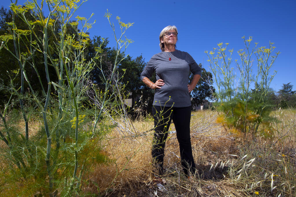 In June, Annie Falandes of Homeless Action Sonoma picked out a piece of land on Highway 12 with plans to build a homeless shelter. Soon, 22 tiny homes will occupy the site. (Photo by Robbi Pengelly, Index-Tribune)
