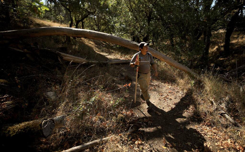 Ben Bravo, the Fairfield Osborn Preserve manager, takes a hike in the preserve, Tuesday, Oct. 15, 2019 in the hills above Rohnert Park. (Kent Porter / The Press Democrat)