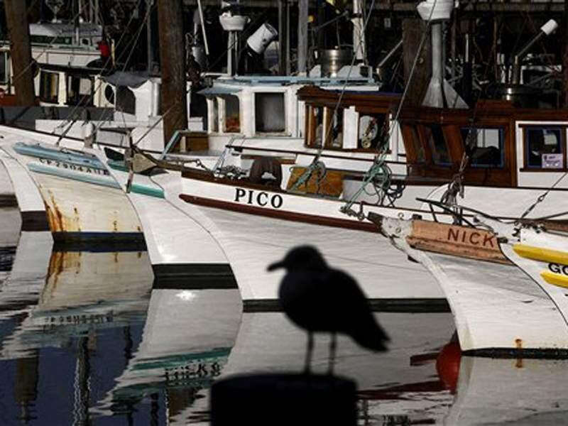 In this Feb. 1, 2008 file photo, fishing boats sit moored at Fisherman's Wharf in San Francisco. (AP Photo/Noah Berger, File)
