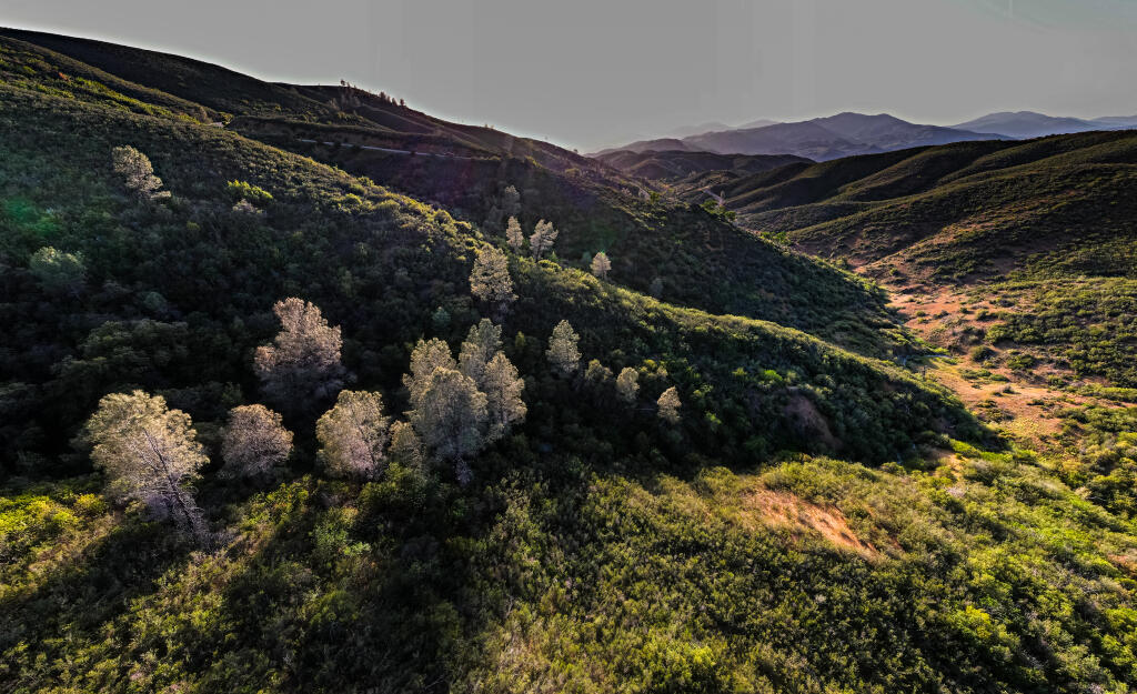 Walker Ridge on the east edge of Lake County would be added to the Berryessa Snow Mountain National Monument under bills by four California lawmakers.(Bob Wick)