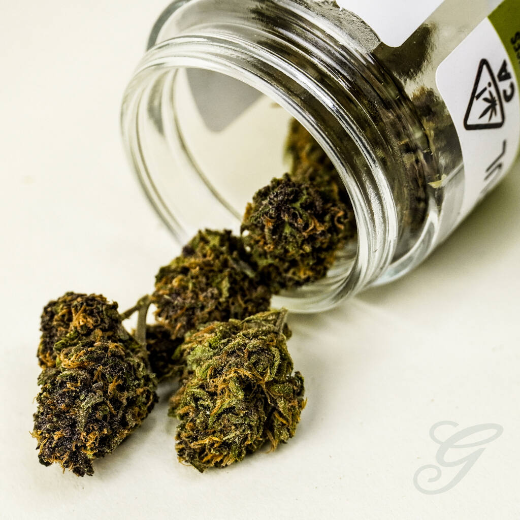 Cannabis from Solful. Jason Windsor photo.