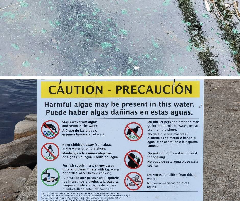 An image posted to Instagram from the Santa Rosa Recreation and Parks Dept. warning visitors to Howarth Park that boats on Lake Ralphine would not be available for rent due to an algae bloom.