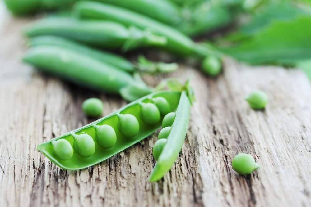 It's time to plant peas, a cool weather crop that can be harvested before summer heat arrives.