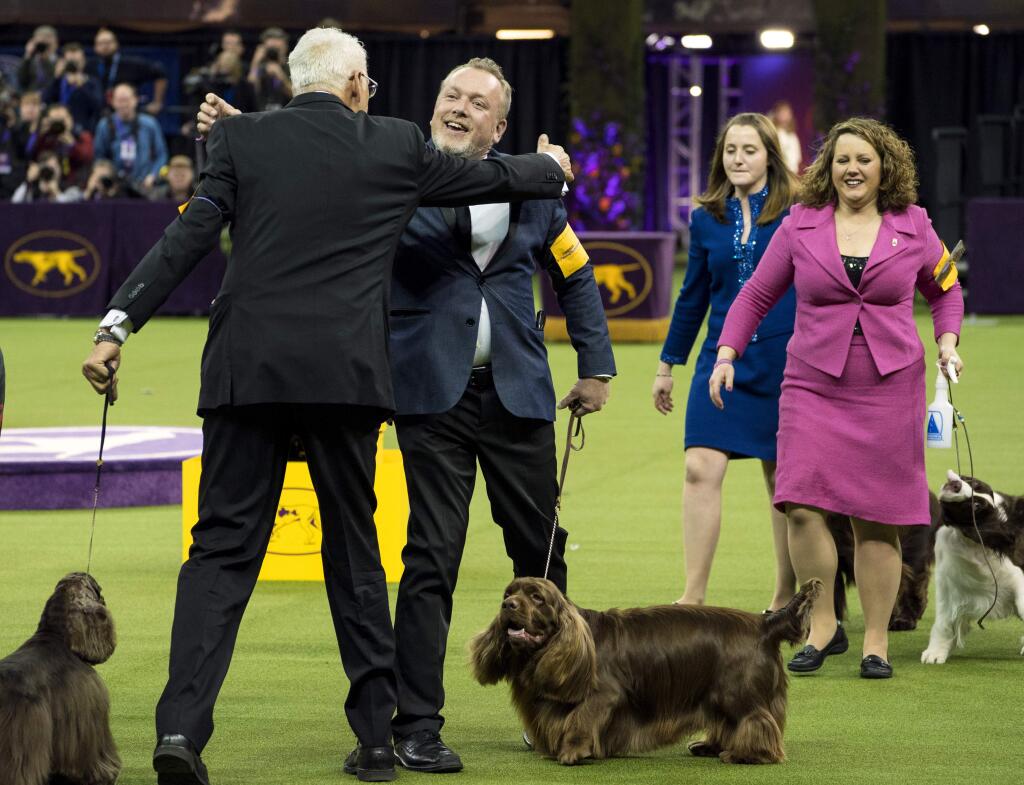 Bean, a Sussex Spaniel, handled by Per Ingar Rismyhr, center, is congratulated after winning the Sporting group during the 142nd Westminster Kennel Club Dog Show, Tuesday, Feb. 13, 2018, at Madison Square Garden in New York. (AP Photo/Craig Ruttle)