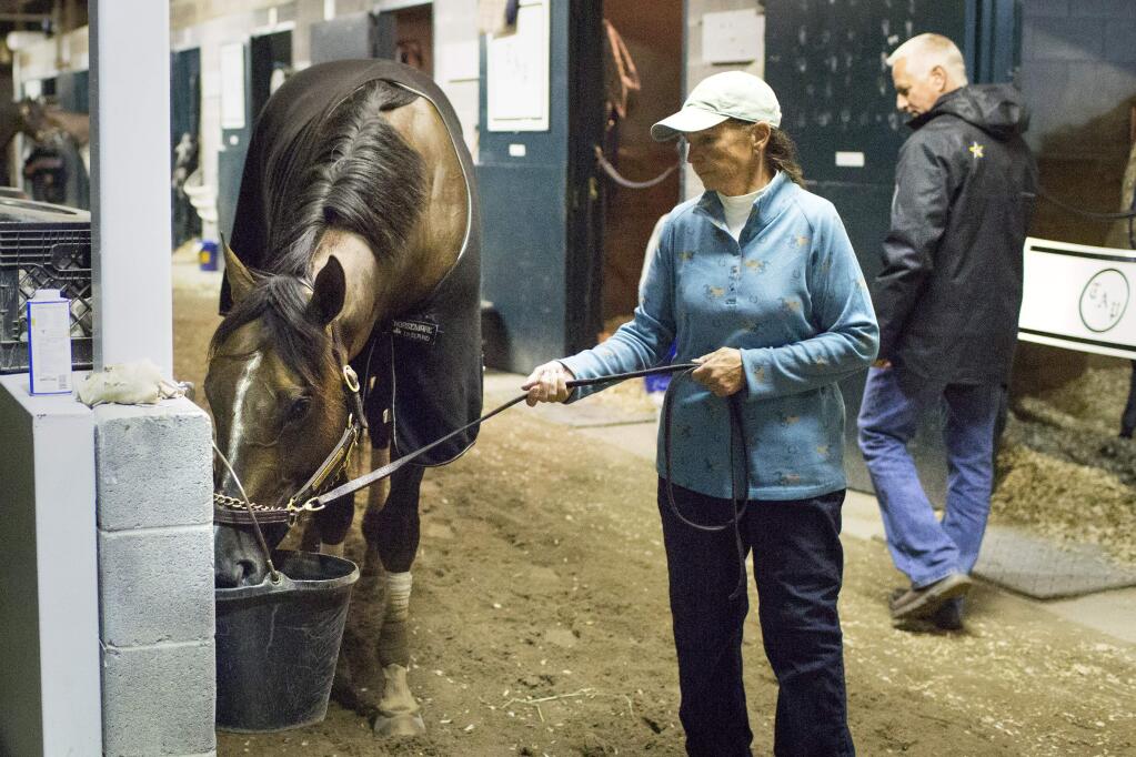 Trainer Todd Pletcher looks over Kentucky Derby contender Carpe Diem as he takes a drink while cooling down with Shannon Rydman after his work covering four furlongs in :48 3/5 at Keeneland in Lexington, Ky., Saturday, April 25, 2015. The 141st Kentucky Derby will be run on Saturday, May 2, 2015 at Churchill Downs. (AP Photo/David Stephenson)