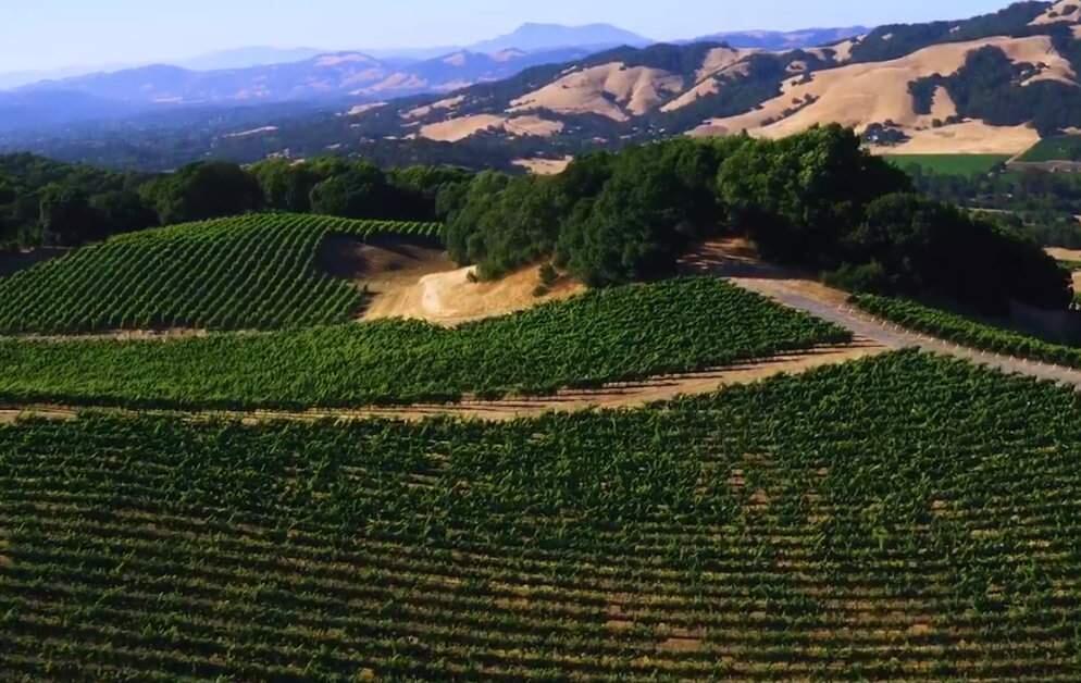 A screenshot from a YouTube video by 2016 Jackson Family Wines showing the Jackson Park vineyard, where a worker died in an ATV crash on Tuesday, May 16, 2019. (YOUTUBE)