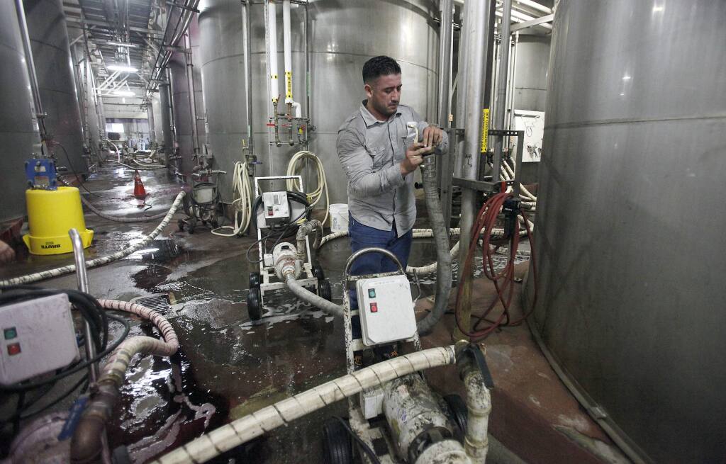 Christian Quinonec, racker/blender at Sebastiani Winery in Sonoma, prepares to transfer wines from damaged tanks into empty tanks, Sunday, Aug. 24, 2014. Fourteen of the winery's tanks were damaged from the earthquake, causing loss of wines of all varieties. (Crista Jeremiason/The Press Democrat)