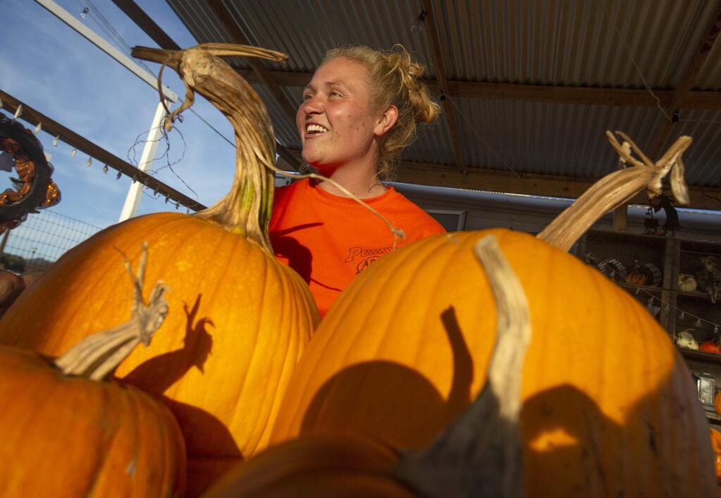 After the Tubbs Fire burned about $140,000 worth of pumpkins, bouncy houses and equipment last October, Morgan Gutzman has brought Punky's Pumpkins back from the ashes at the Luther Burbank Center. (photo by John Burgess/The Press Democrat)