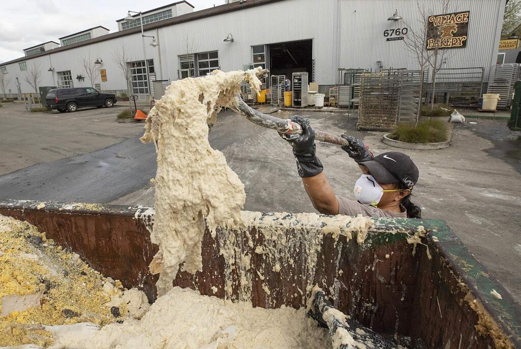 Mike Ramirez shovels water-logged bread dough into garbage bins outside of Village Bakery in The Barlow business district in Sebastopol on Monday, March 4, 2019. (JOHN BURGESS/ PD)