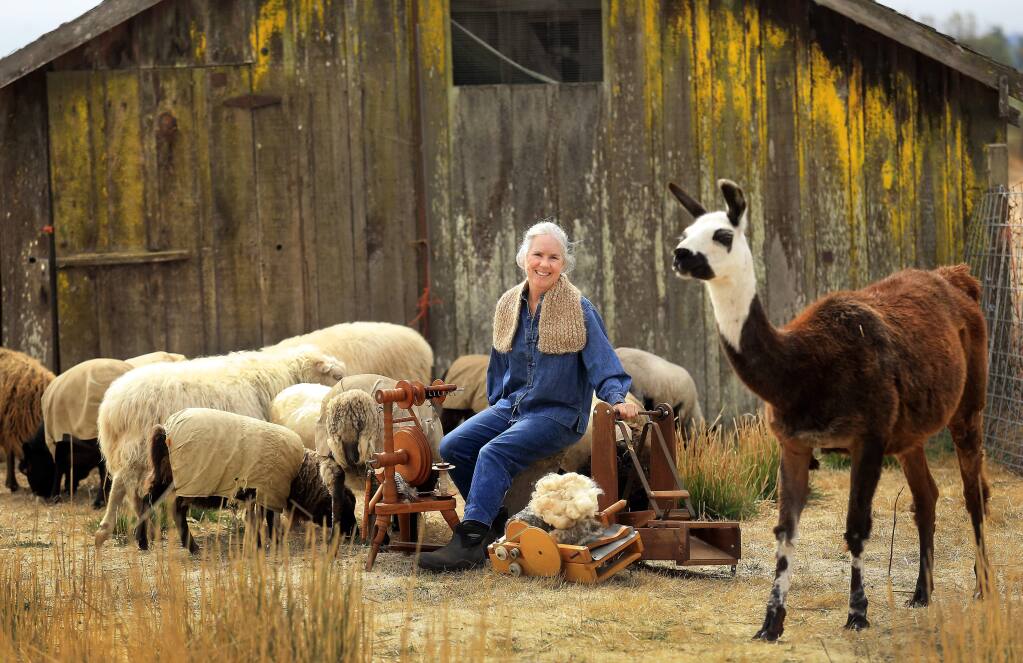 Fiber artist and farmer Leslie Adkins raises sheep, goats, alpaca and a llama for the material she spins, knits and felts into hats, scarves, blankets and rugs on her Heartfelt Farm in Santa Rosa. (John Burgess / The Press Democrat)