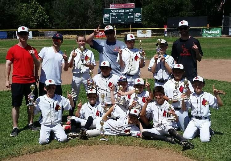 The 2016 Little League Cardinals pose with their trophy after winning the Sonoma Major League playoff game, June 12 at Paul's Field. (Submitted photo)