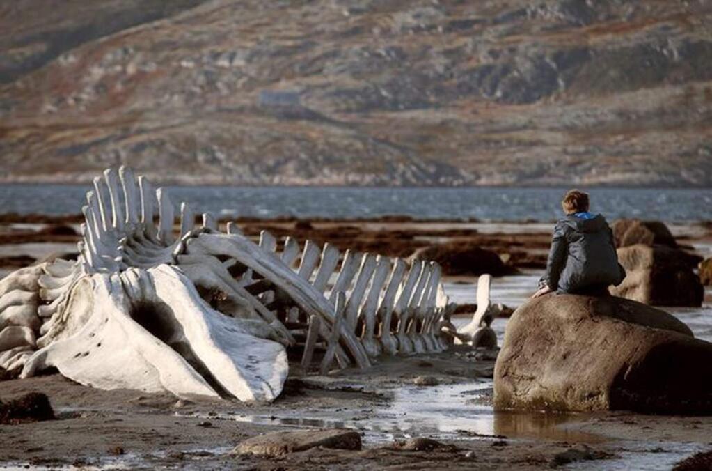 Sergey Pokhodaev in a scene from 'Leviathan,' a tale of greed and corruption set in a small village on the coast of the Barents Sea in northernmost Russia. (ANNA MATVEEVA / SONY PICTURES CLASSICS)