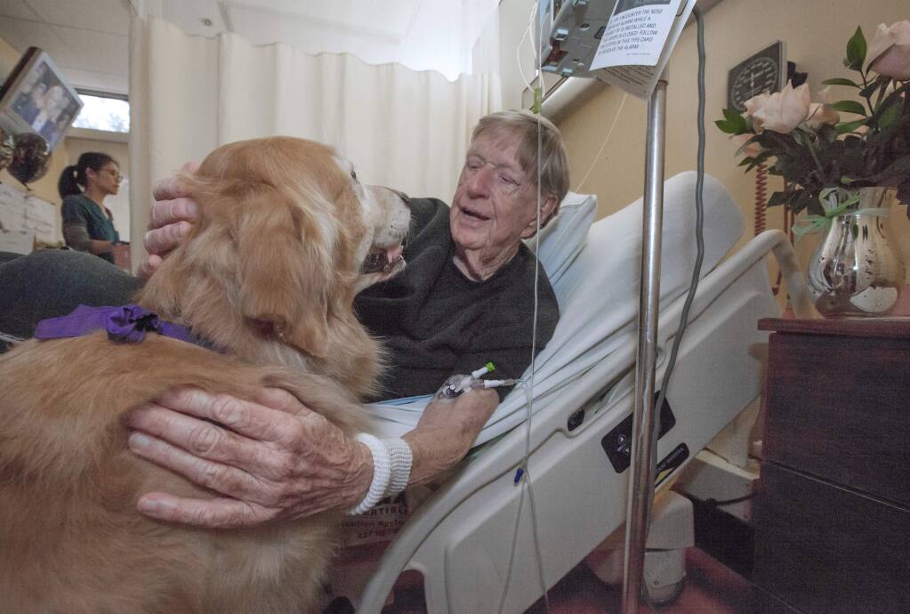 Robert Koenig's stay in the Skilled Nursing Unit at Sonoma Valley Hospital is briefly, joyously interrupted by a visit from an accredited therapy dog, (FIle Photo)