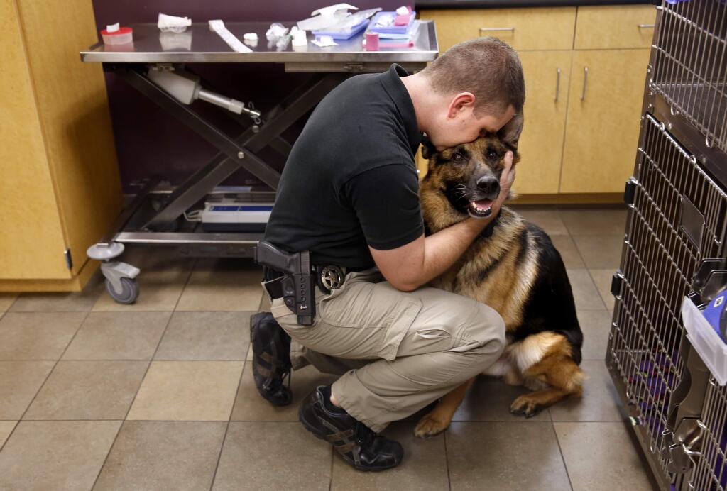 Sebastopol Police K-9 Handler and Sgt. Nick Belliveau takes a moment his dog Frank, who was diagnosed with lymphoma, after Frank's blood was drawn at PetCare Veterinary Hospital in Santa Rosa, California on Monday, January 26, 2015. (BETH SCHLANKER/ The Press Democrat)