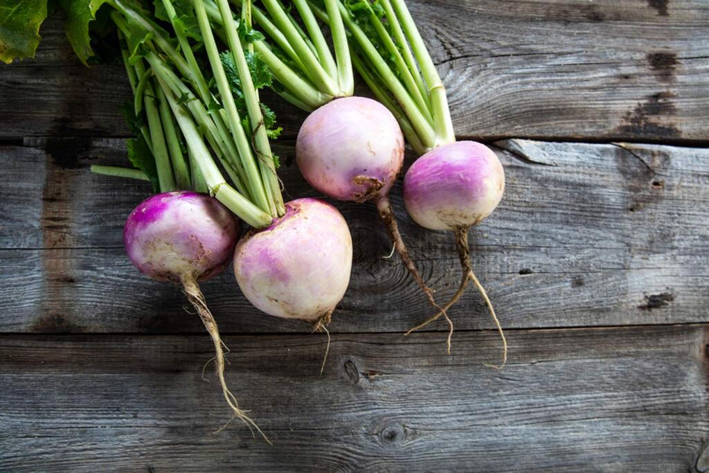 Turnips are a member of the cabbage family and substitute nicely for cabbage in visually interesting and tasty Coleslaw with Turnips.