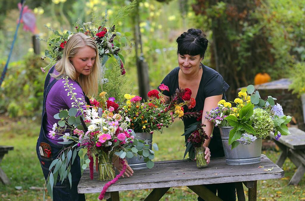 JOHN BURGESS / The Press Democrat Hedda Brorstrom, left, and Nichole Skalski arrange late-season posies from Full Bloom Flower Farm in Graton, which Brorstrom owns. Both women are members of the North Bay Flower Collective, a recently formed growers organization that is holding an inaugural Flower Festival today in Healdsburg.