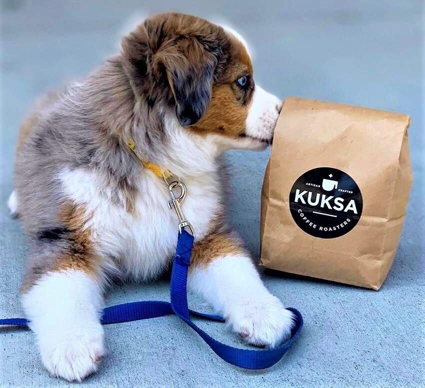 The puppy mascot of Kuksa Coffee Roasters. (submitted photo)