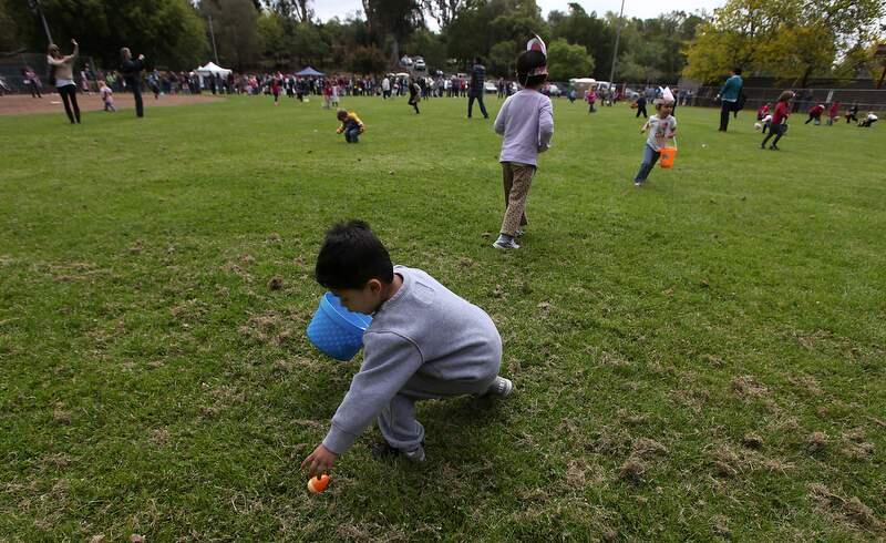 Hundreds of children join in on the annual Easter egg hunt by Santa Rosa Recreation and Parks, Saturday April 23, 2011, at Howarth Park in Santa Rosa. (Kent Porter / The Press Democrat file)