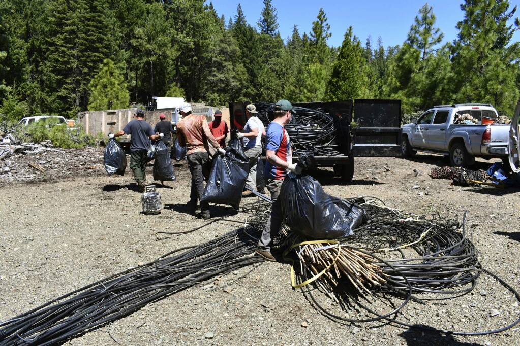 Cleanup workers prepare trash to be airlifted from an illicit marijuana grow in the in the Shasta-Trinity National Forest. (JACKEE RICCIO CROP Project)