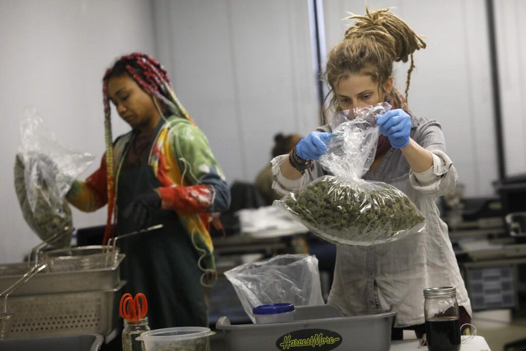 Employees Jessica Castiglione, right, and Annalisa Hopper bag buds of marijuana that have been trimmed at the Justice Grown cannabis warehouse on Tuesday, November 27, 2018 in Santa Rosa, California . (BETH SCHLANKER/The Press Democrat)