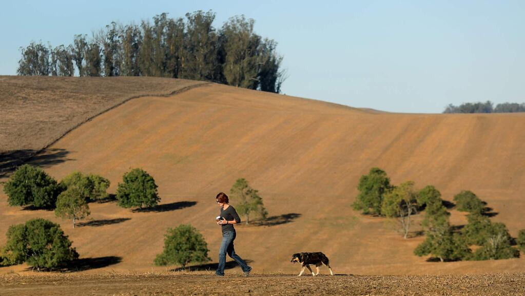 Jana McClelland and dog Missy tour the 300 acre Hansen Ranch Friday Oct. 6, 2017. The county recently paid $1.88 million to preserve the land which is farmed by the McClelland's Dairy ranch. (Kent Porter / The Press Democrat)