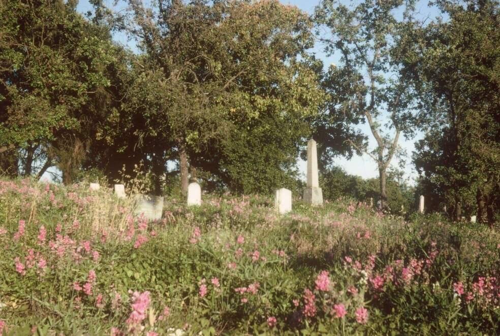 The graves of Anabel Stuart and Absalom B. Stuart in the Santa Rosa Rural Cemetery in 1964. Anabel was the first female doctor in Santa Rosa. She served in Civil War as nurse for her husband, Dr. A.B. Stuart. (Courtesy of the Sonoma County Library)