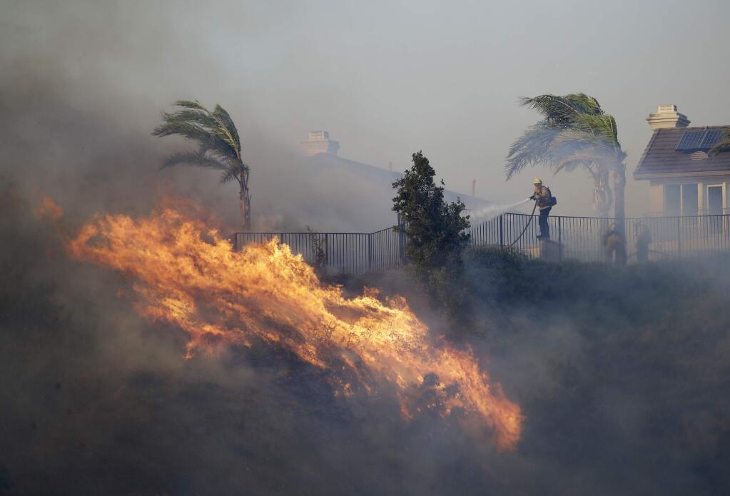 A firefighter sprays water in front of an advancing wildfire Friday, Oct. 11, 2019, in Porter Ranch, Calif. (AP Photo/Marcio Jose Sanchez)