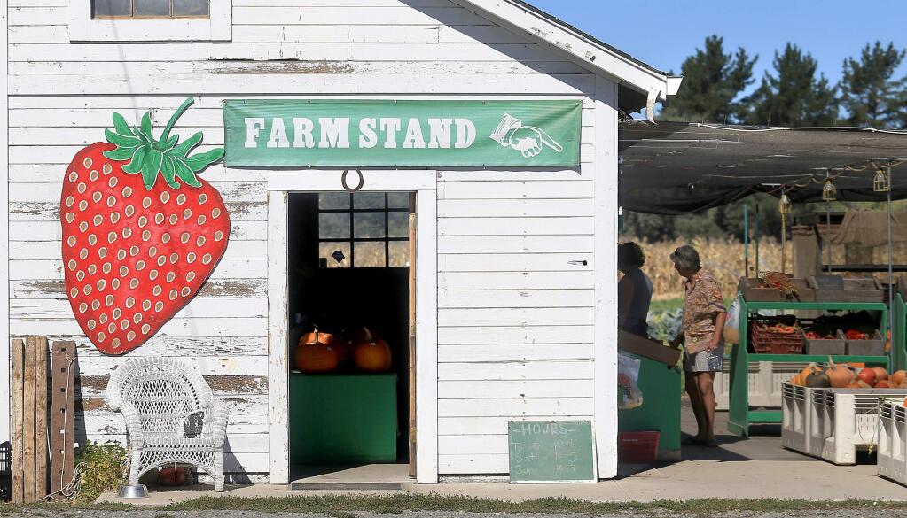 Tierra Vegetables barn, Thursday Oct. 2, 2014 in Santa Rosa. (Kent Porter / Press Democrat) 2014