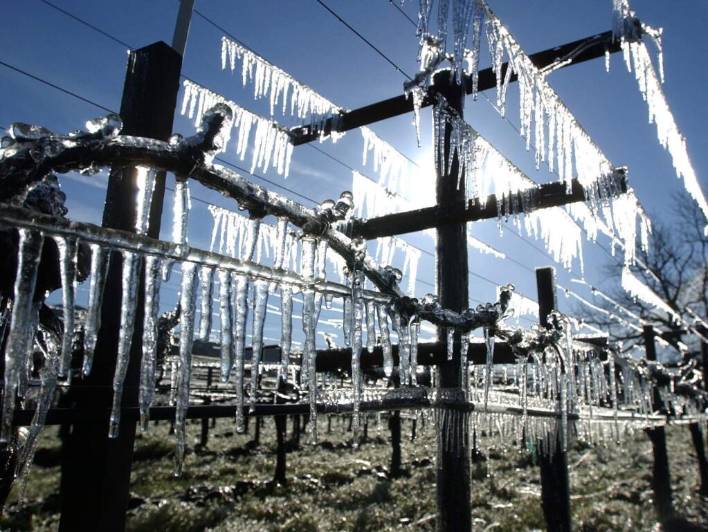 (File photo) Landmark Vineyards in Kenwood creates an icy, but frost proof barrier to freezing Valley of the Moon temperatures.