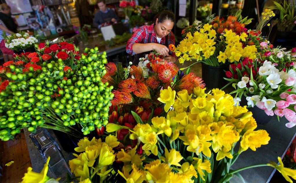 Monica Burton prepares a special Valentine's Day bouquet at Tesoro Flowers in Sonoma on Tuesday. (photo by John Burgess/The Press Democrat)