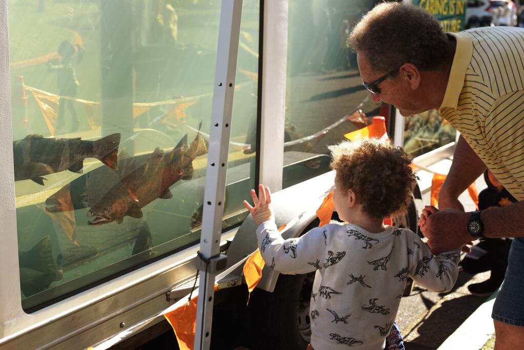 Bill Price, right, with Tucker Price, 3, taking an up close look at some Steelheads at the Lake Sonoma Steelhead Festival held at the Milt Brandt Visitor Center in Geyserville, Calif. on Saturday, February 8, 2020.(Photo: Erik Castro/for The Press Democrat)