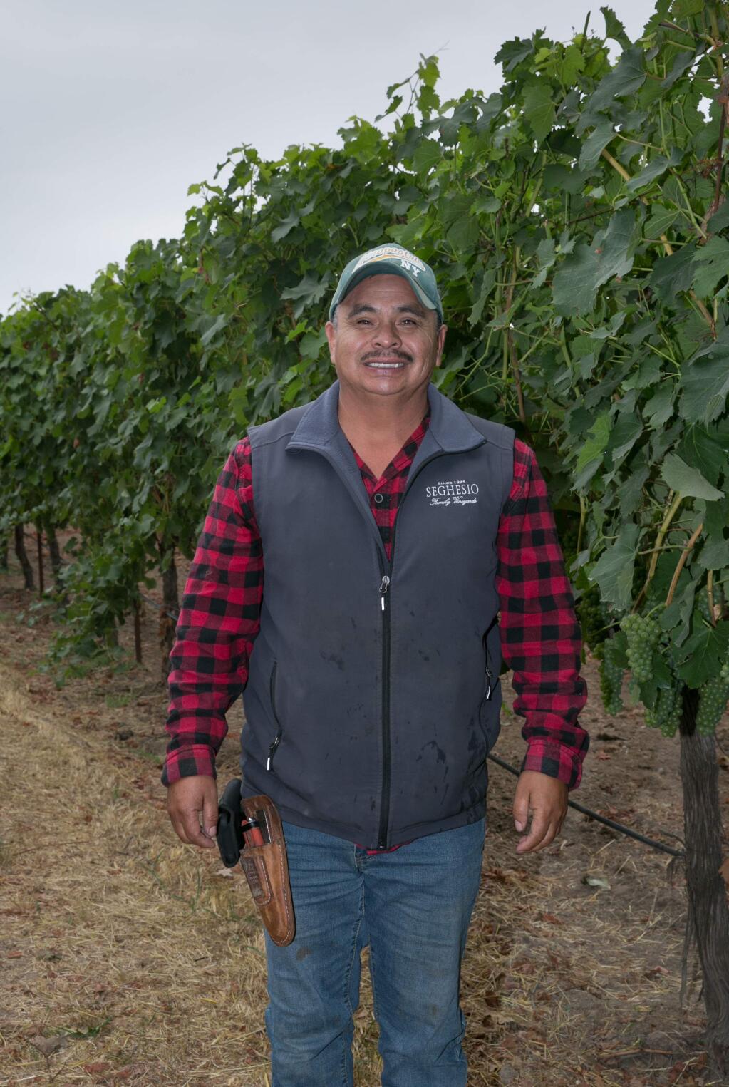 Jose Cervantes, Cornerstone Certified Vineyard, is the Sonoma County Grape Grower Foundations 2019 vineyard employee of the year. (Courtesy: Sonoma County Grape Growers Foundation)