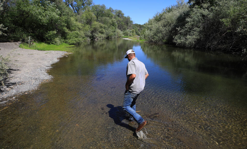 During this time in 2020, a dry year on the Russian River, the water was past the knees of Isual Macias of Hoot Owl Vineyards in the Alexander Valley. On Thursday afternoon, May 27, 2021 the water is even lower.  (Kent Porter / The Press Democrat)