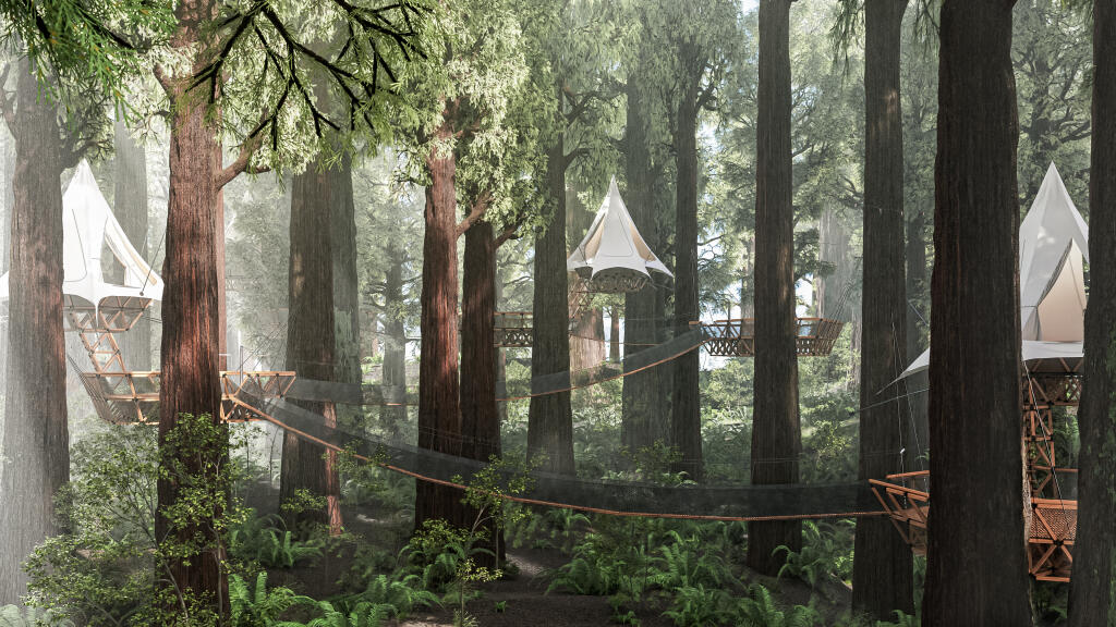 This architectural rendering shows a “village” of Treewalkers rental tent platforms suspended from trees. (Mariana Veras image for O2Treehouse)