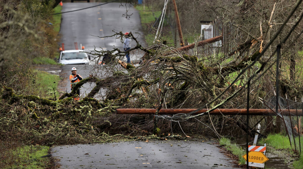 Several utility poles with electric, cable and phone lines were forced down Saturday, Jan. 14, 2023, by strong winds and saturated ground on Green Valley Road, just west of Thomas Road in Graton. (Kent Porter/The Press Democrat)