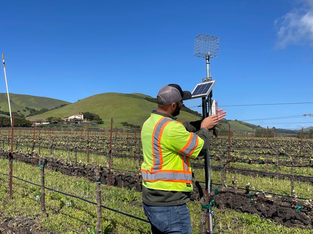 Brad Kurtz, vineyard manager at Gloria Ferrar Caves and Vineyards, looks at the evapotranspiration monitor from Tule Technologies which measures the amount of water leaving the block of grapes on Tuesday, April 18. The readings from the monitor are fed into an algorithm using artificial intelligence to predict irrigation needs. (Chase Hunter/Index-Tribune)