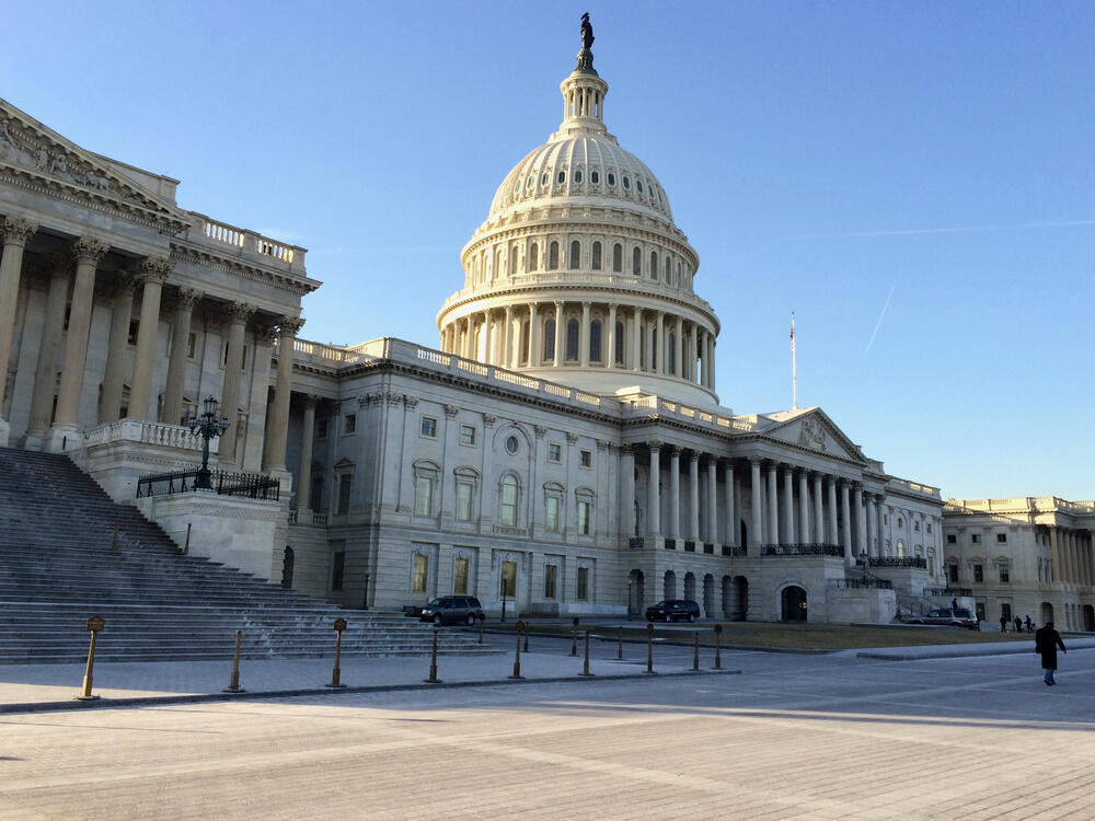 The U.S. Capitol building on Capitol Hill in Washington, D.C. (fivetonine/Shutterstock)