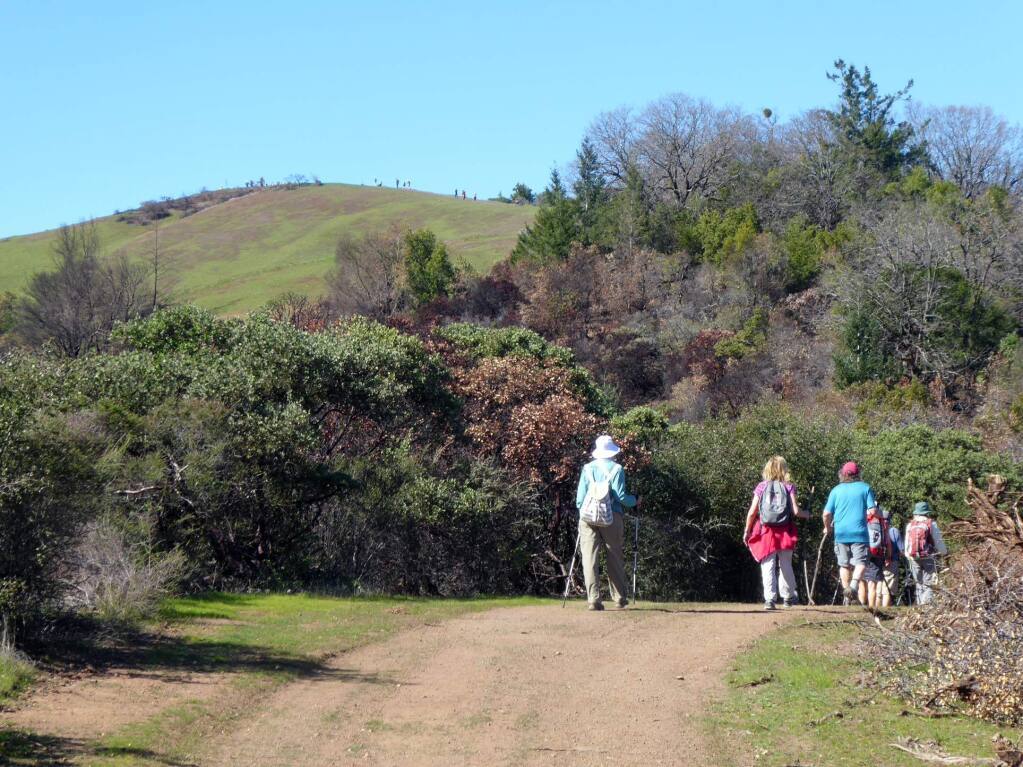 Nothing like a bit of forest therapy at Sugarloaf Ridge State Park to calm one’s nerves. The park leads a free Forest Therapy walk on June 16 as part of California State Parks Week. (Index-Tribune file photo)