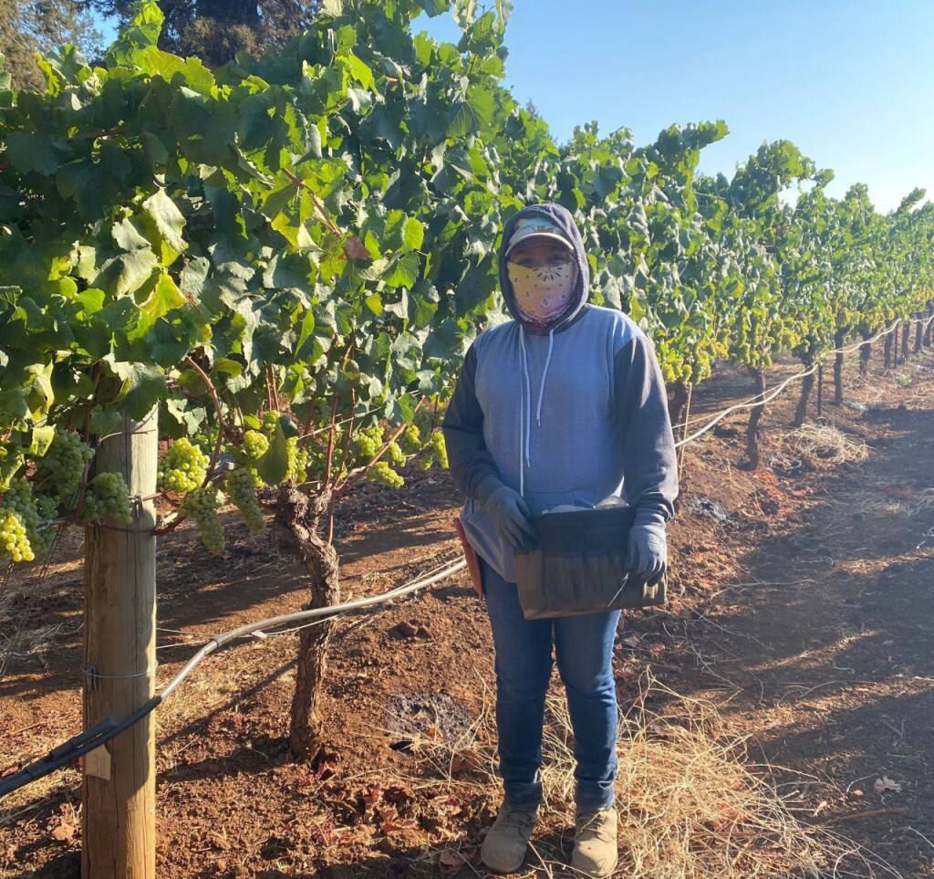 Sonoma County resident Sandra De Leon worked the harvest through the Glass Fire of 2020. (courtesy of North Bay Jobs With Justice)